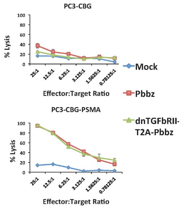T cells expressing Pbbz specifically lyse PSMA-PC3 cells in 24-hr luciferase-based lysis assays.jpg